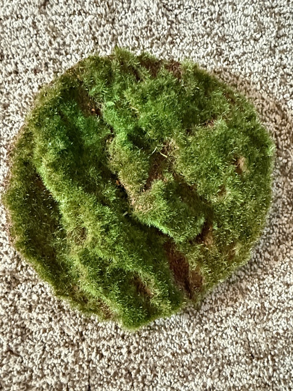 Artificial Moss Fairy Decorative Accent Mat - Green